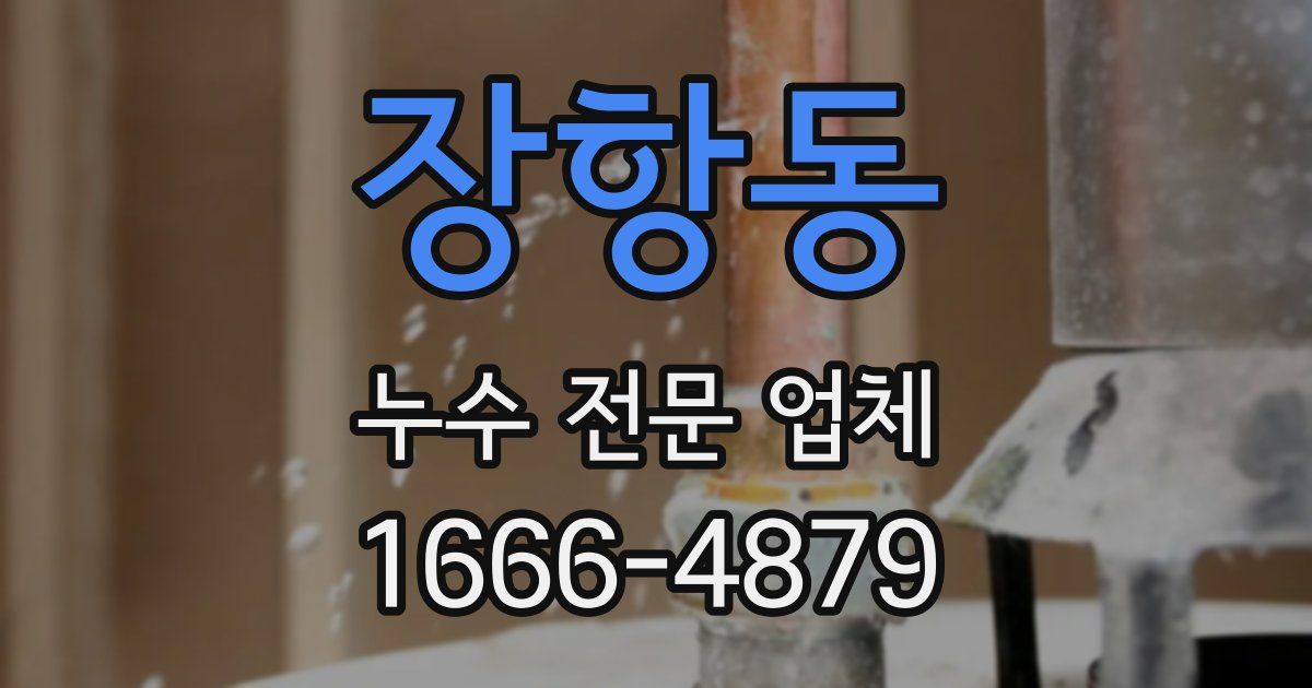 장항동 누수 전문 업체