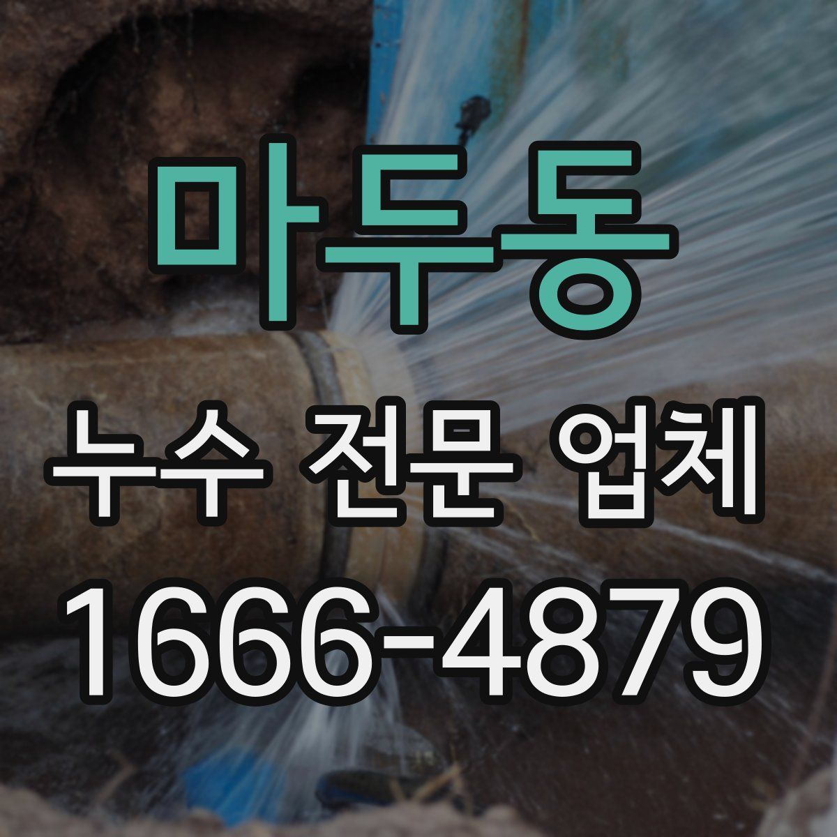 마두동 누수 전문 업체