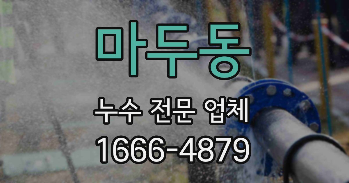 마두동 누수 전문 업체