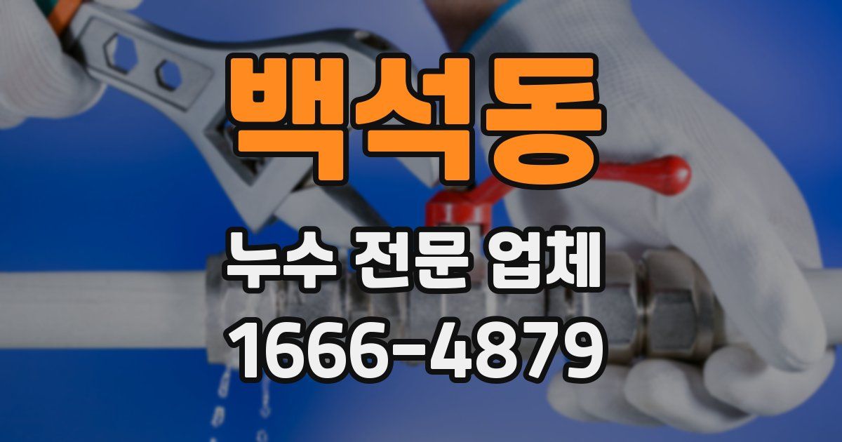 백석동 누수 전문 업체