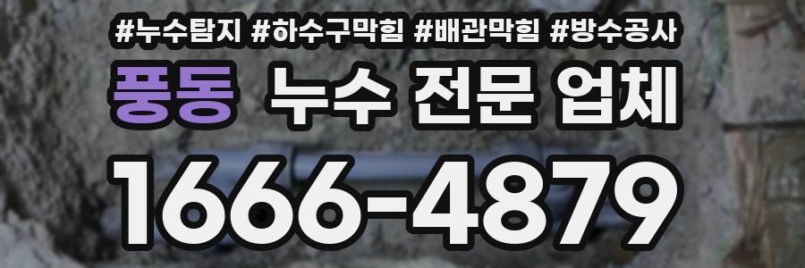 풍동 누수 전문 업체