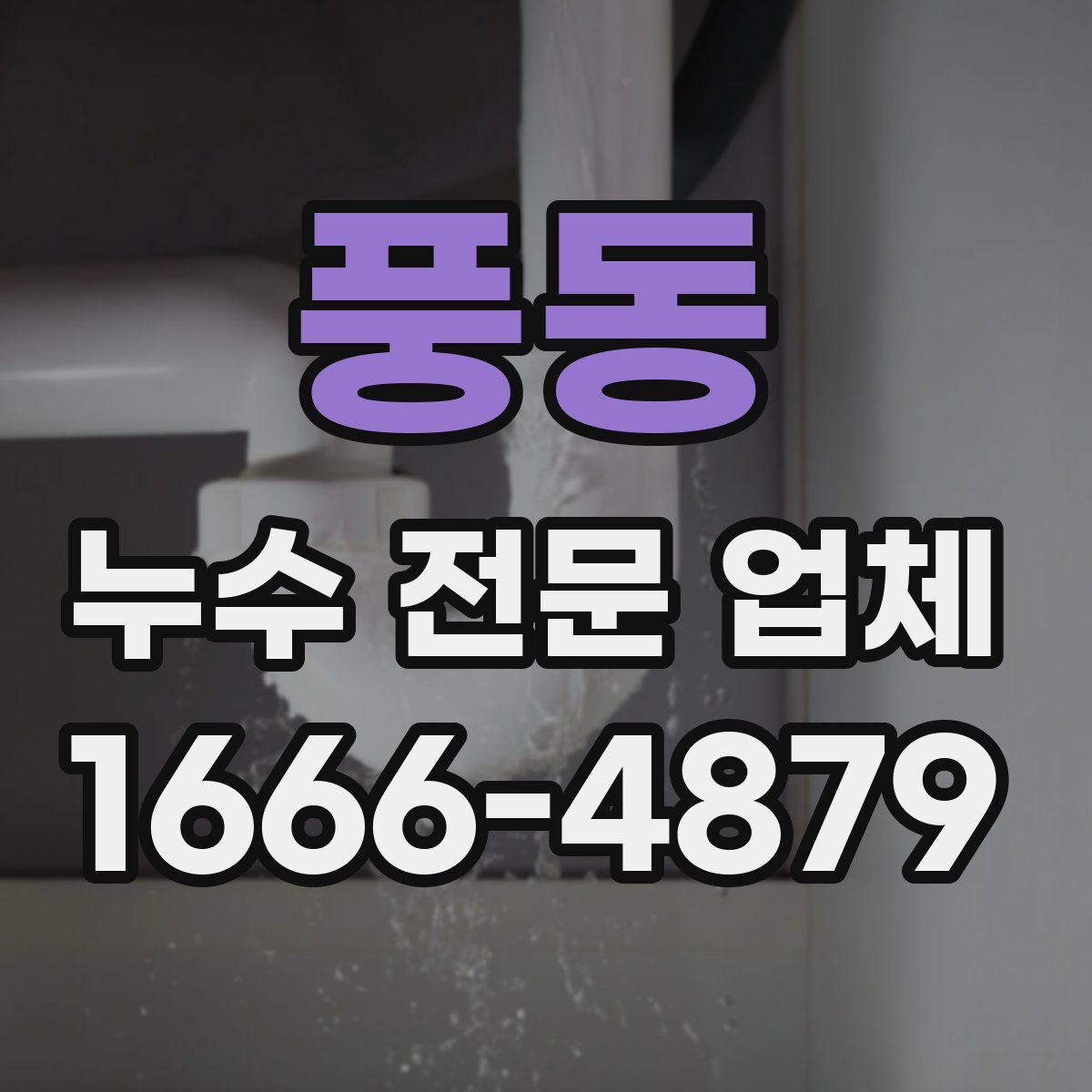풍동 누수 전문 업체