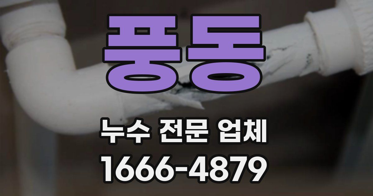 풍동 누수 전문 업체