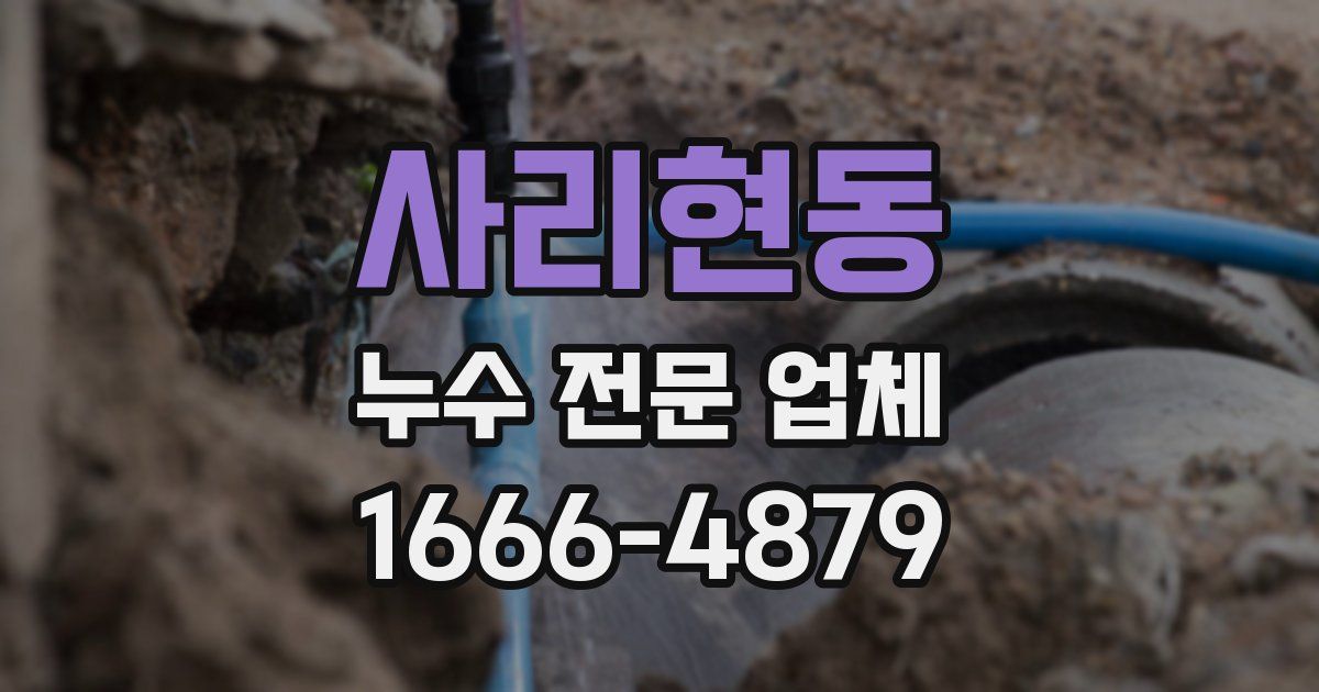 사리현동 누수 전문 업체