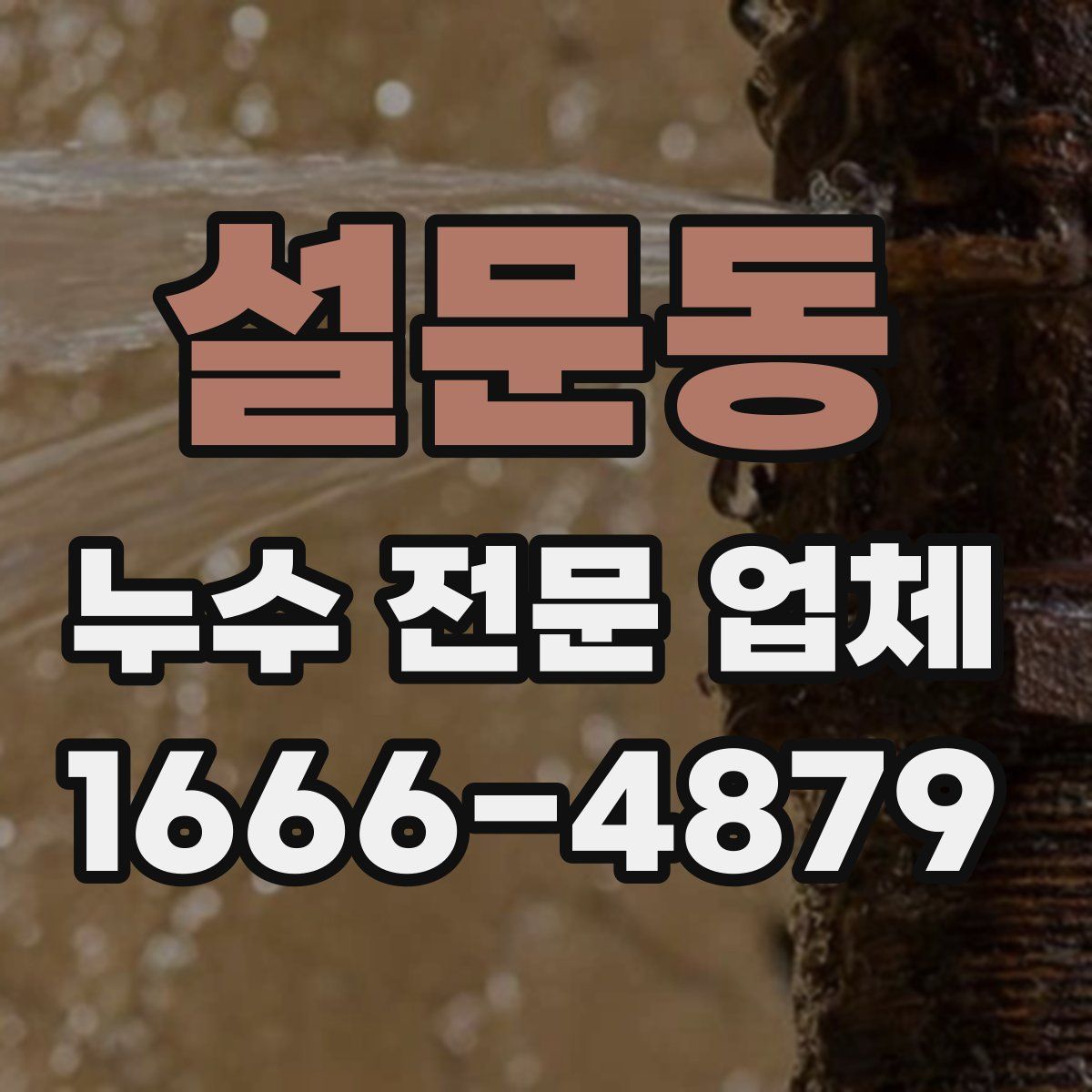 설문동 누수 전문 업체