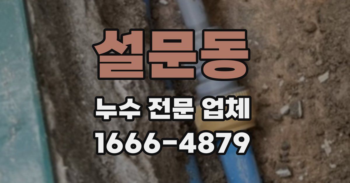 설문동 누수 전문 업체