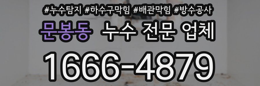 문봉동 누수 전문 업체