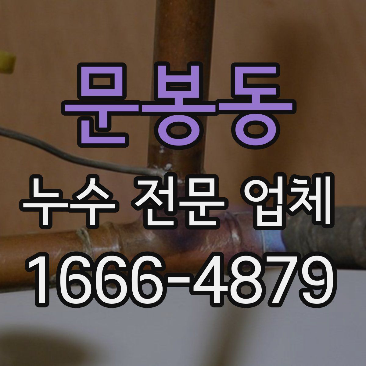 문봉동 누수 전문 업체