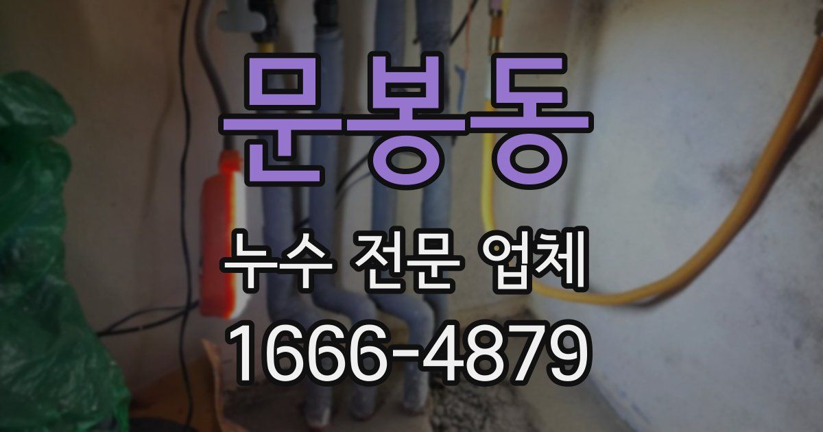 문봉동 누수 전문 업체