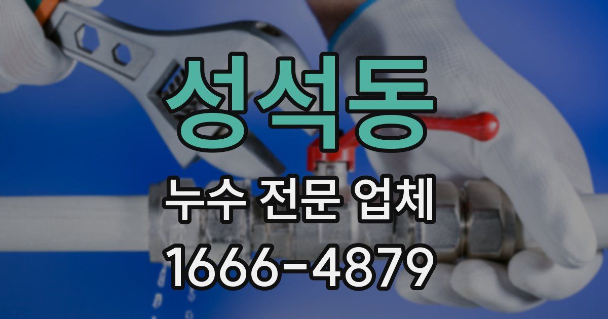 성석동 누수 전문 업체