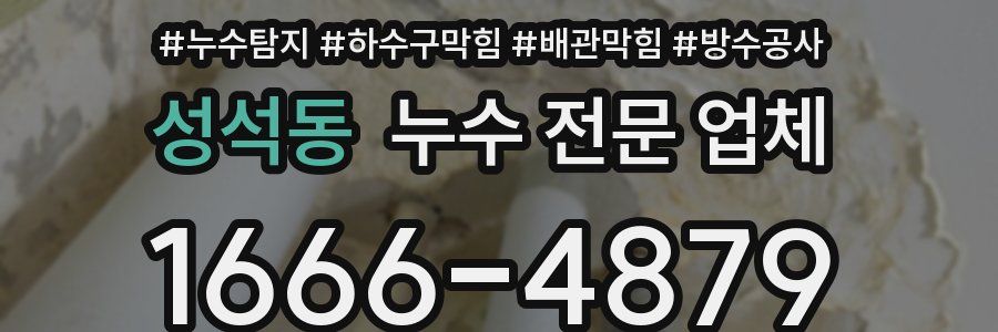 성석동 누수 전문 업체