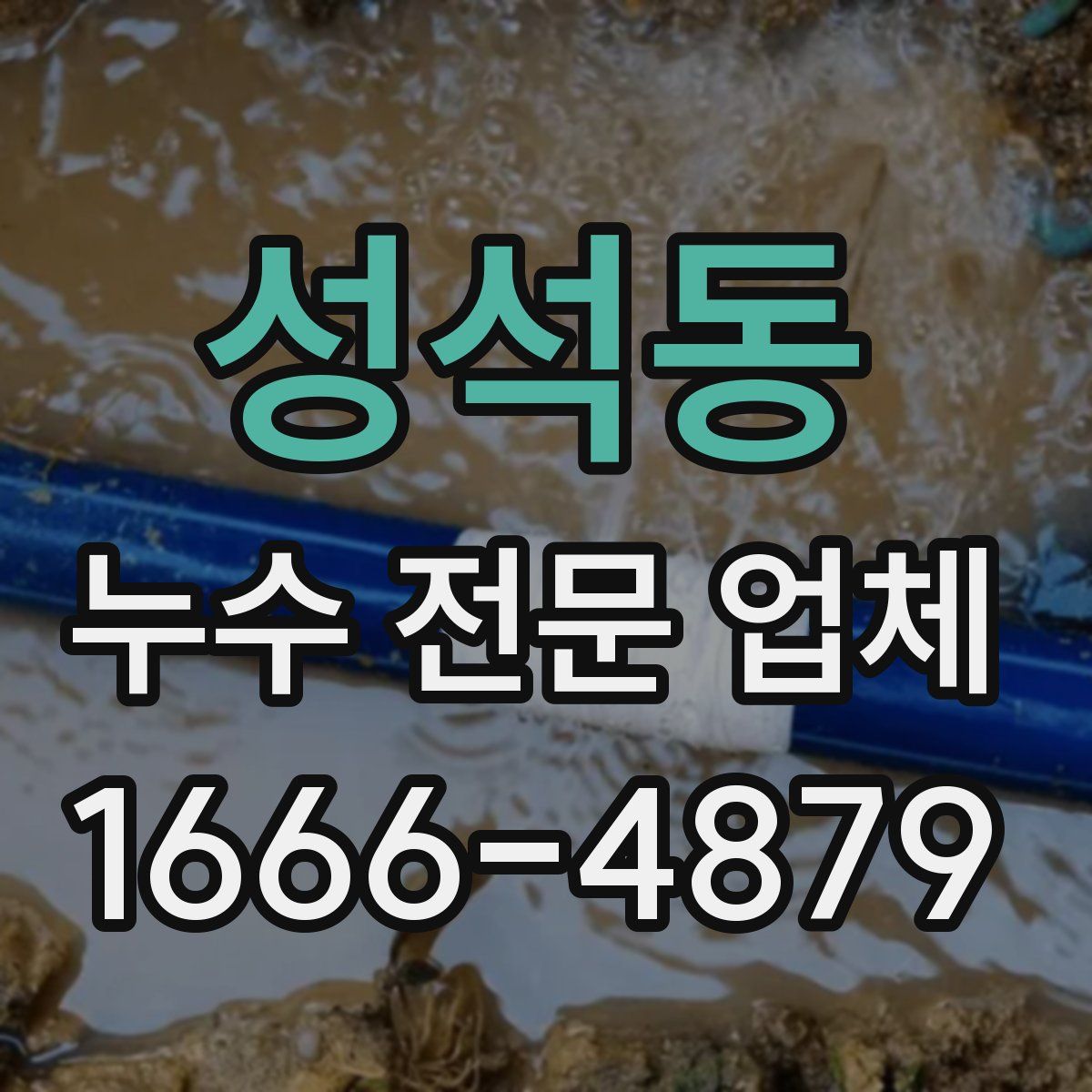 성석동 누수 전문 업체