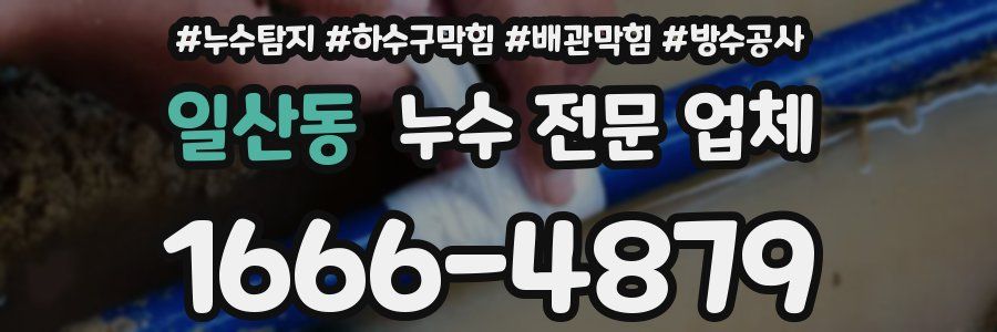 일산동 누수 전문 업체