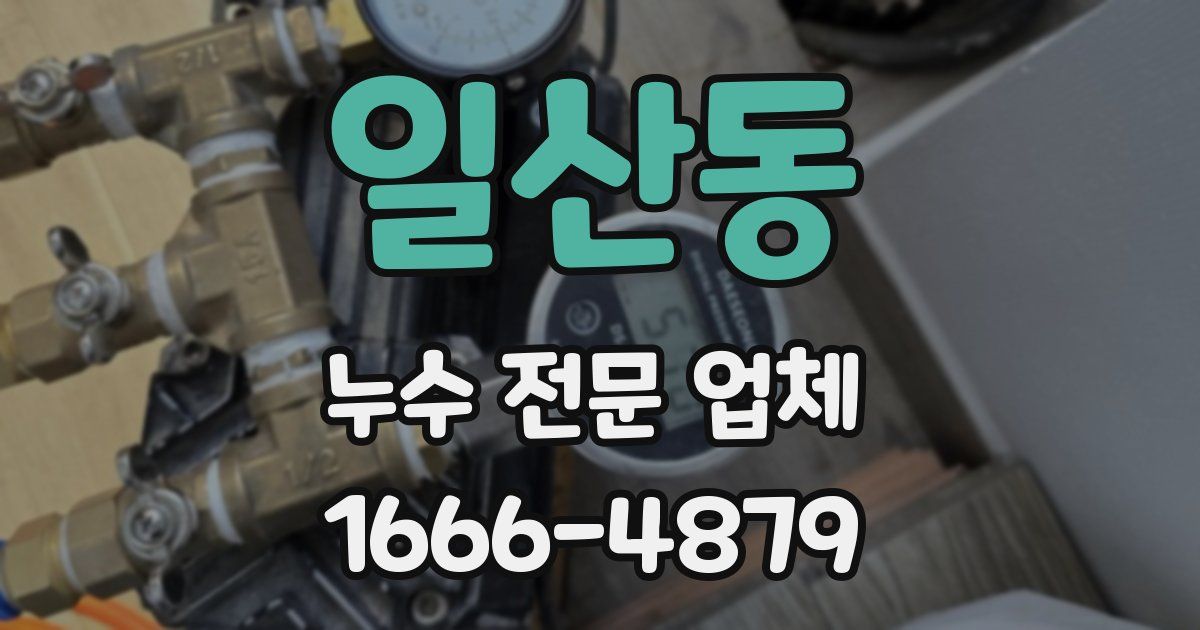 일산동 누수 전문 업체