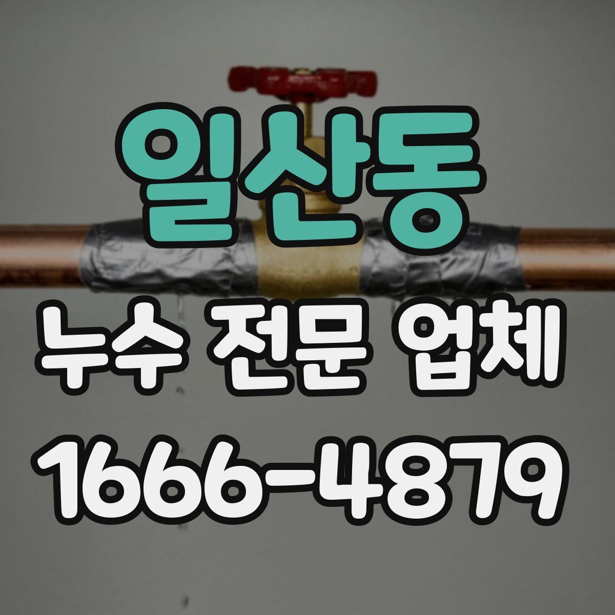 일산동 누수 전문 업체