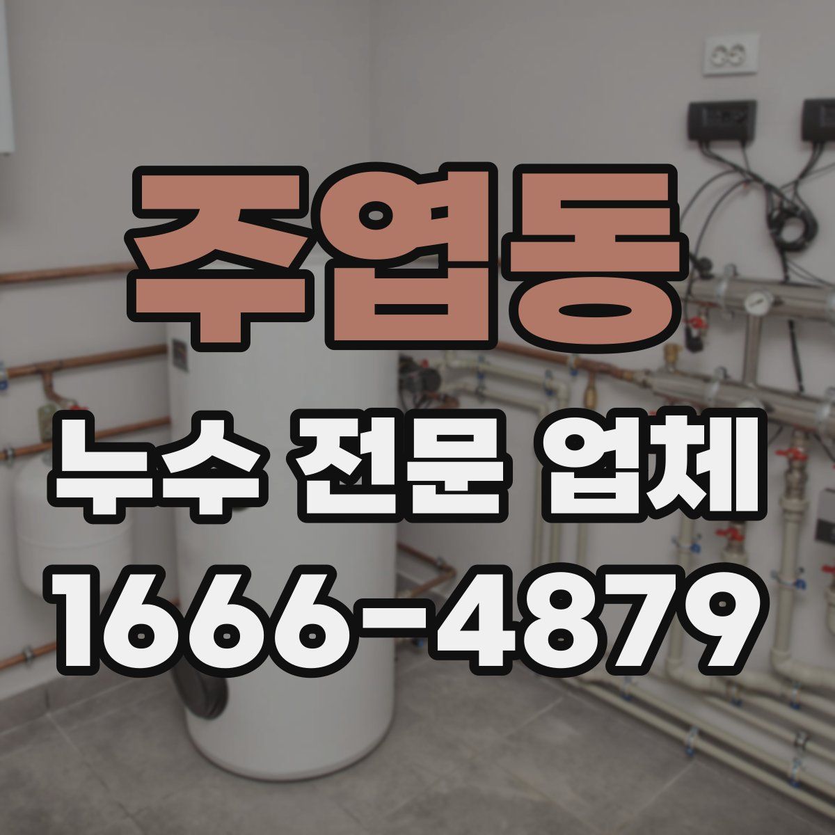 주엽동 누수 전문 업체