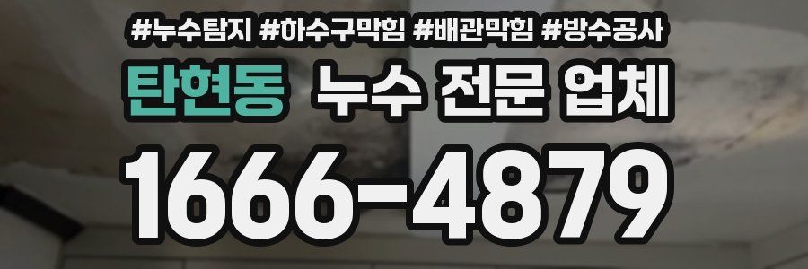 탄현동 누수 전문 업체