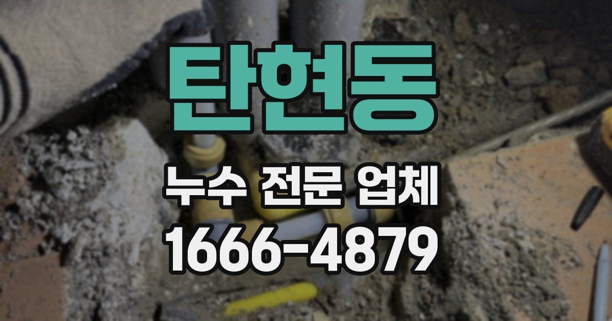 탄현동 누수 전문 업체