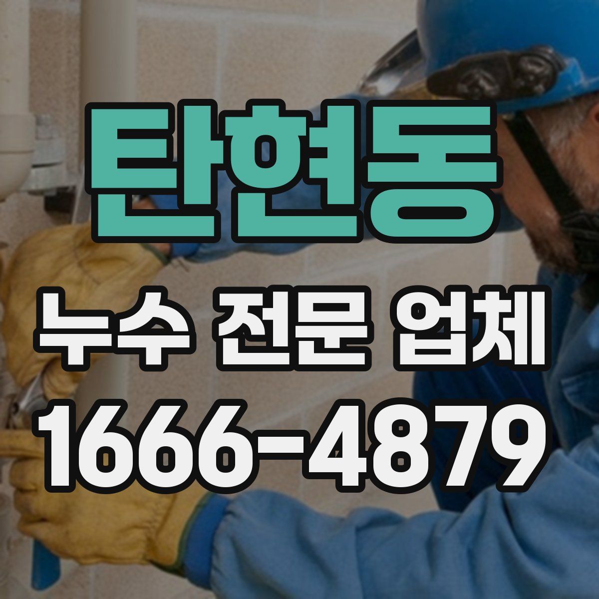 탄현동 누수 전문 업체