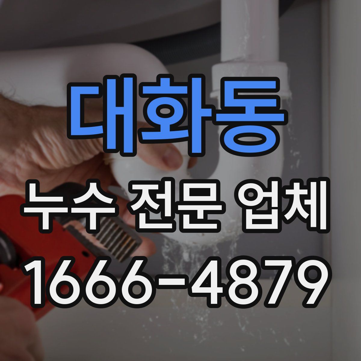 대화동 누수 전문 업체