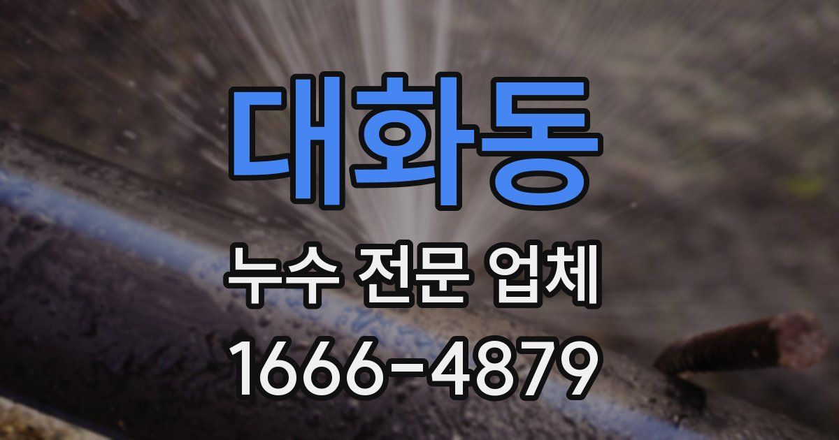 대화동 누수 전문 업체