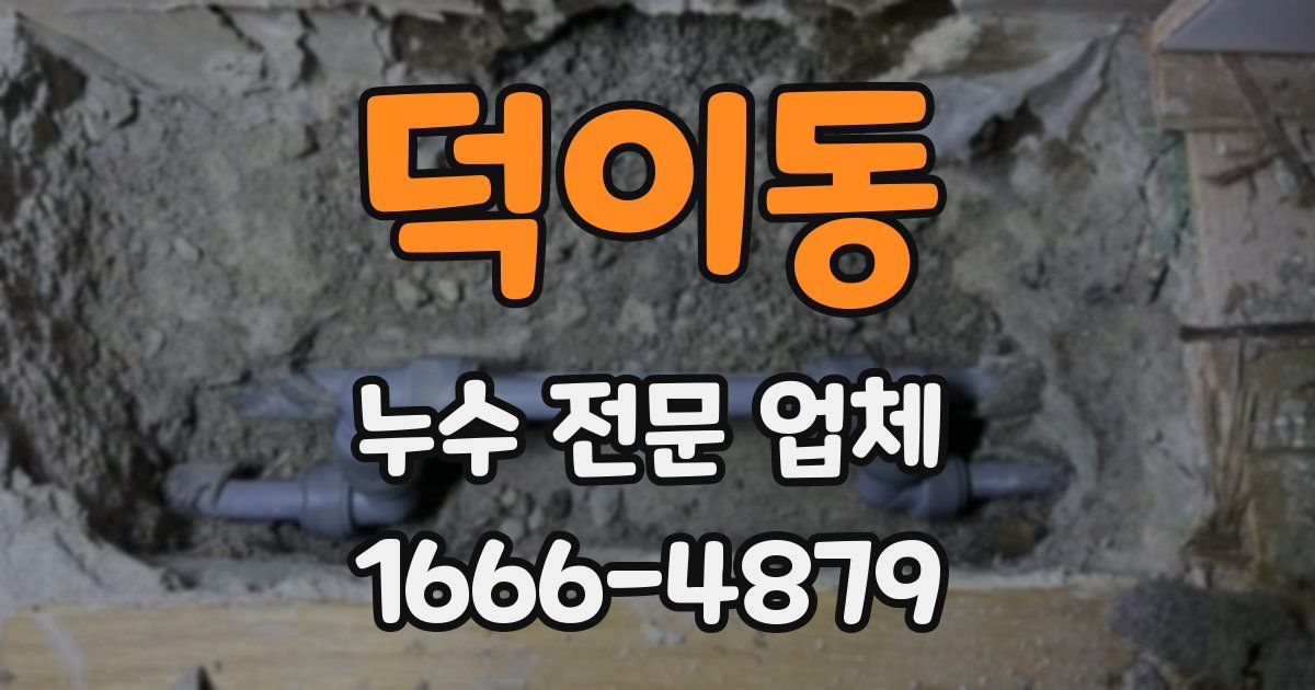 덕이동 누수 전문 업체