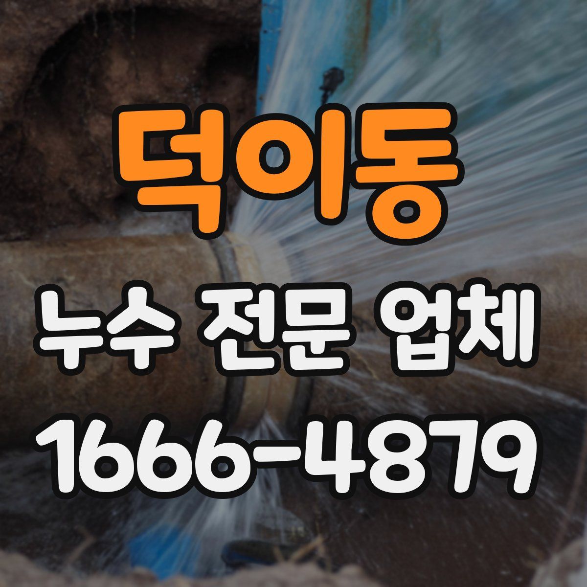 덕이동 누수 전문 업체
