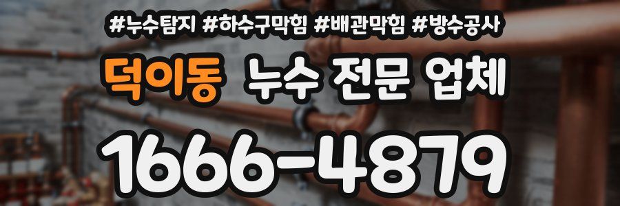 덕이동 누수 전문 업체