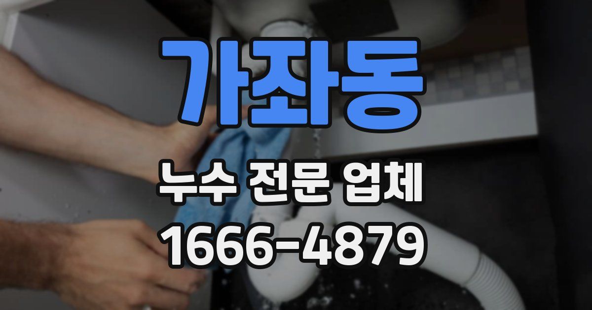 가좌동 누수 전문 업체