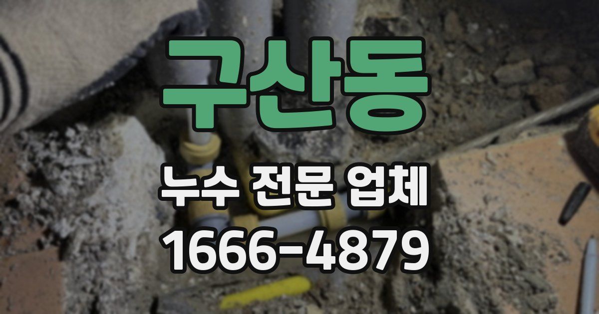 구산동 누수 전문 업체