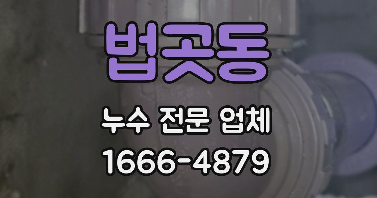 법곳동 누수 전문 업체