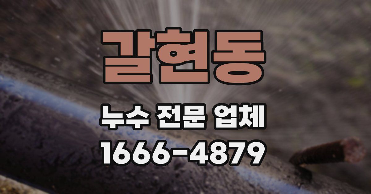 갈현동 누수 전문 업체