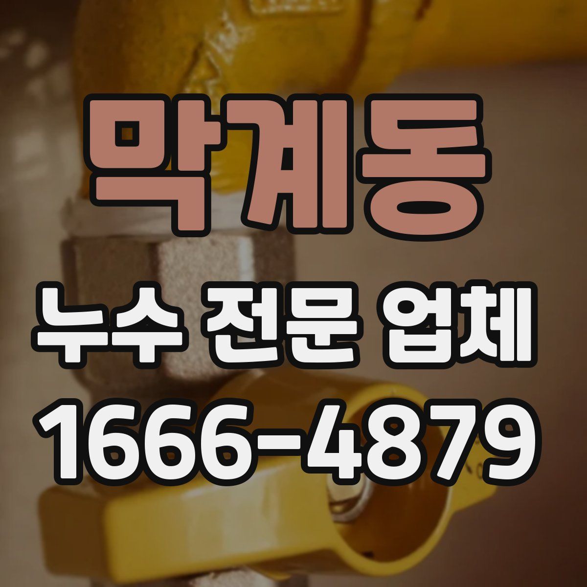 막계동 누수 전문 업체