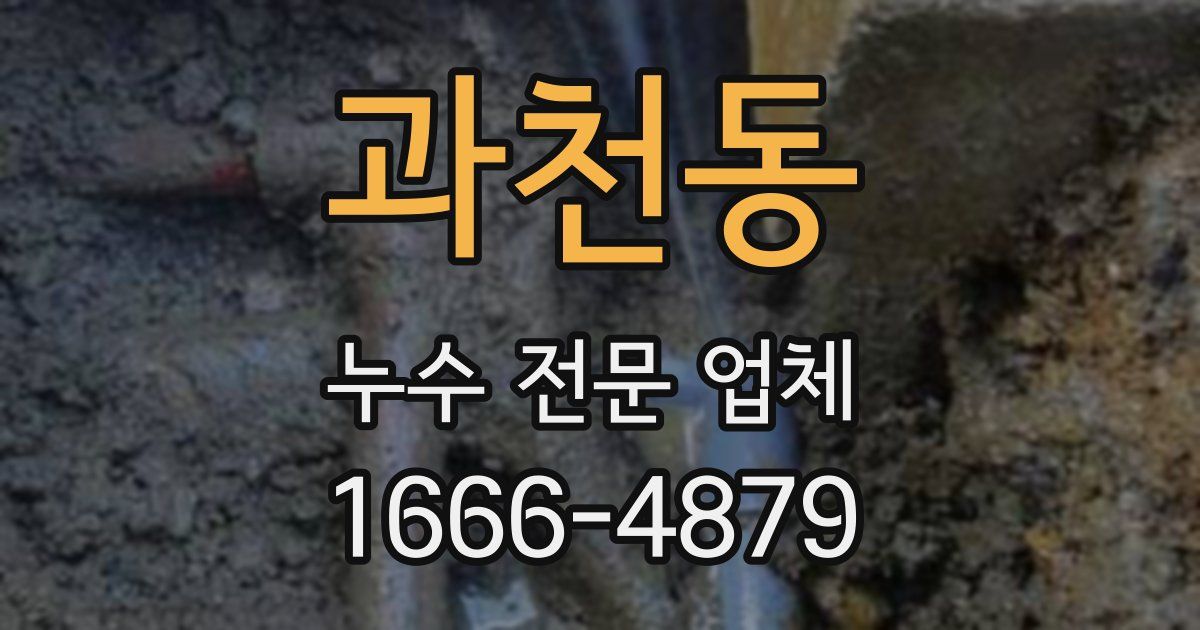 과천동 누수 전문 업체