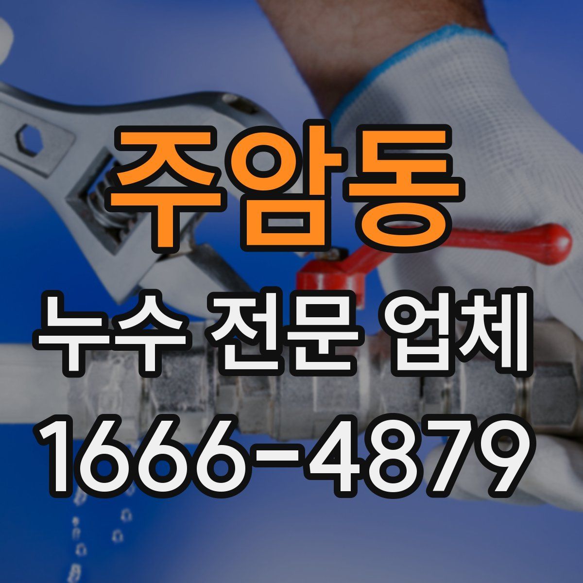 주암동 누수 전문 업체