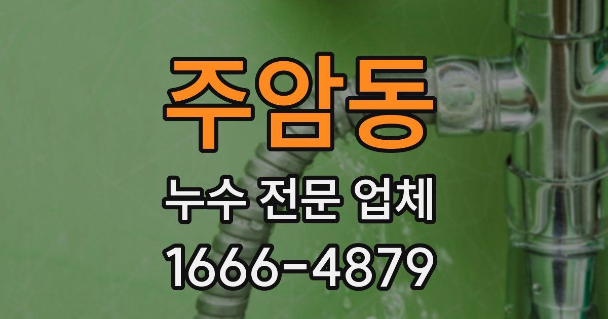 주암동 누수 전문 업체