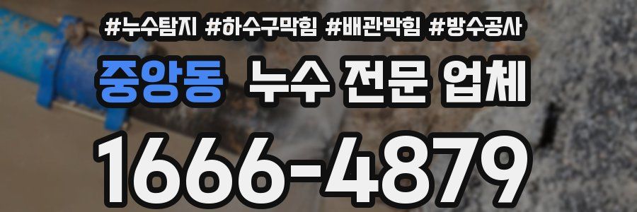 중앙동 누수 전문 업체