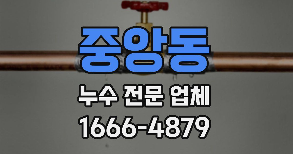 중앙동 누수 전문 업체