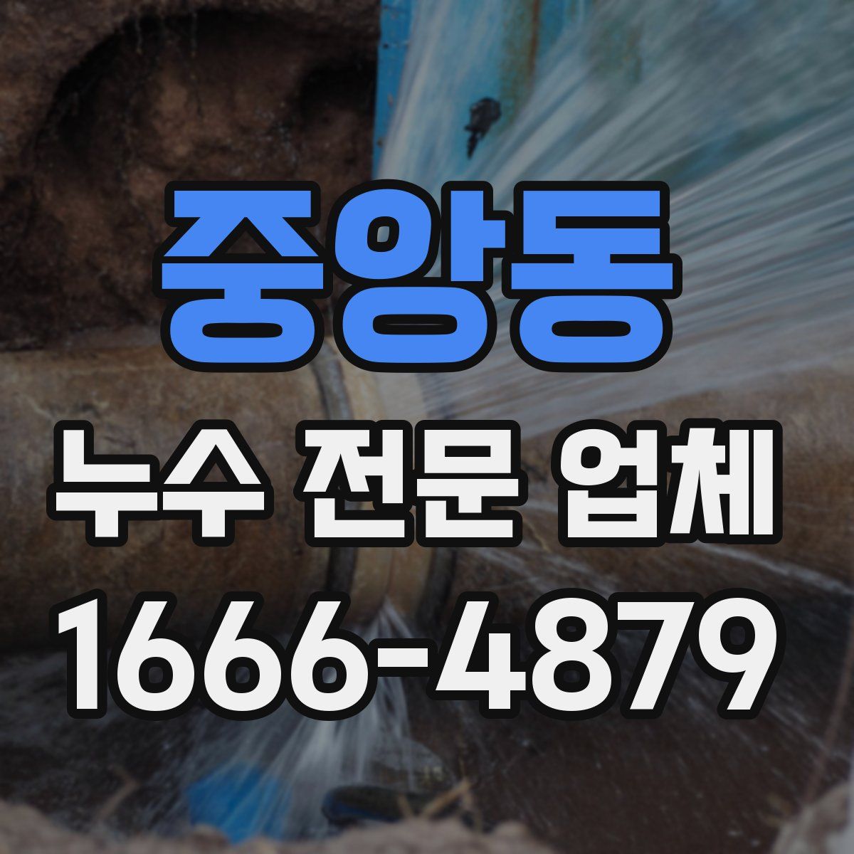 중앙동 누수 전문 업체