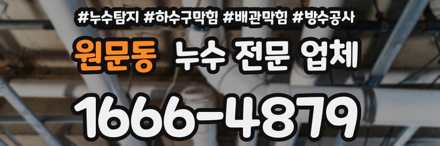 원문동 누수 전문 업체