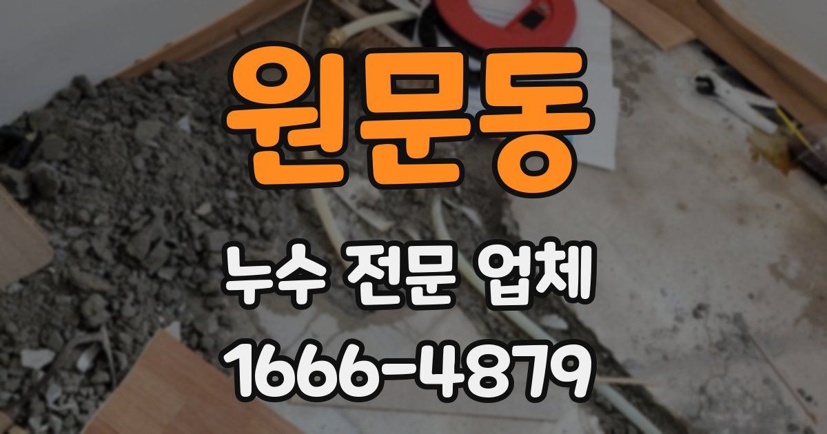 원문동 누수 전문 업체