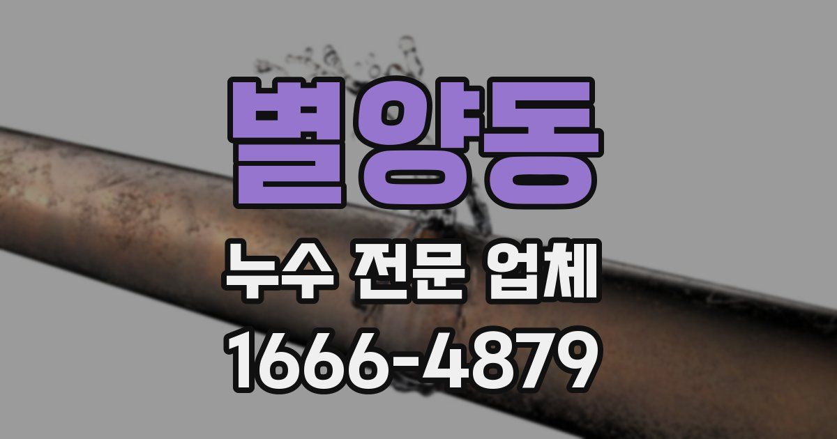 별양동 누수 전문 업체