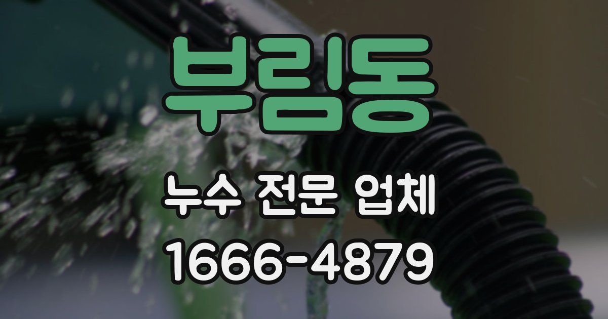 부림동 누수 전문 업체