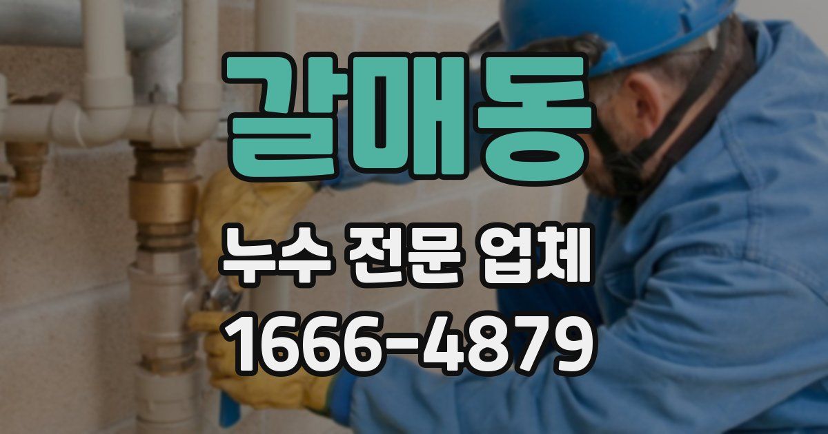갈매동 누수 전문 업체