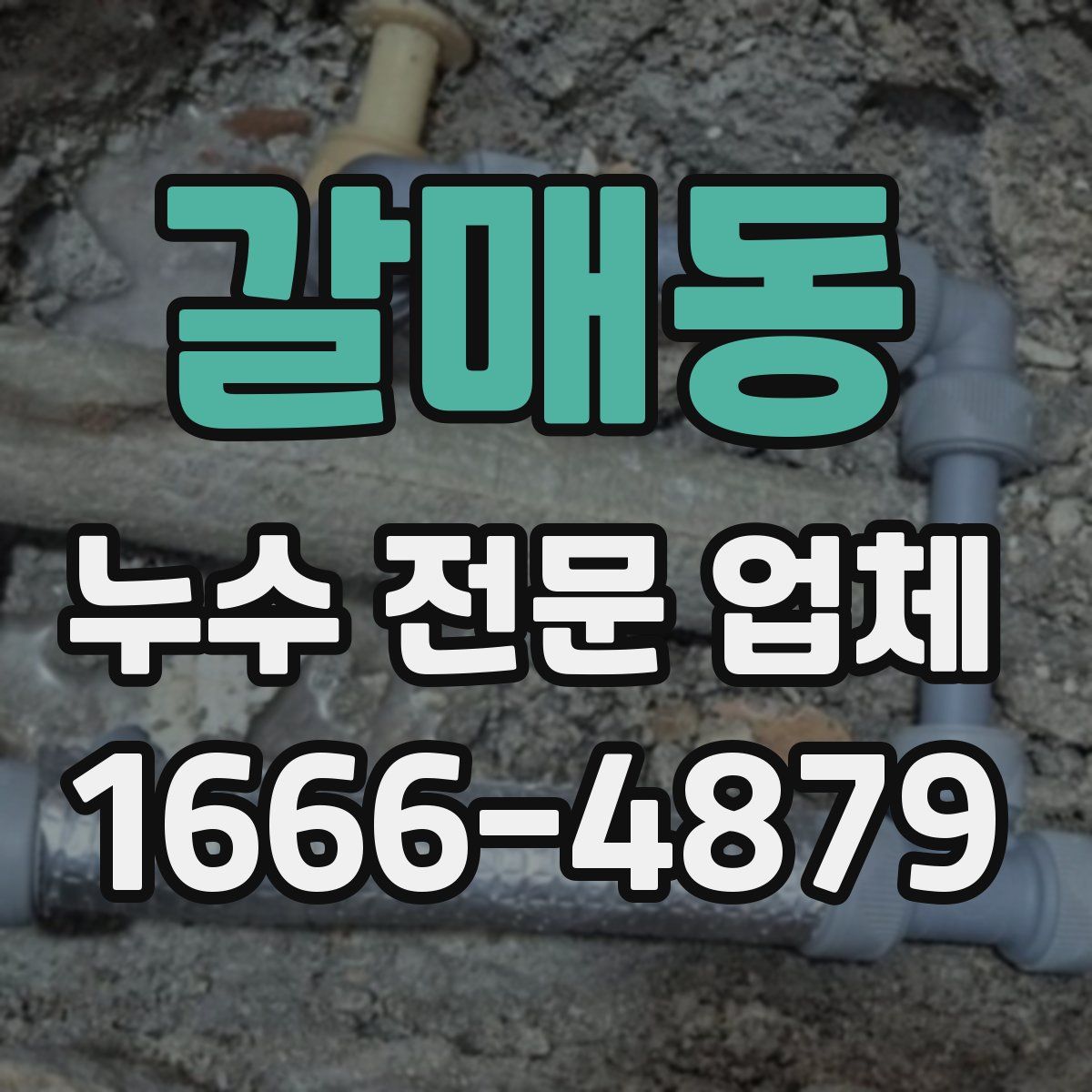 갈매동 누수 전문 업체