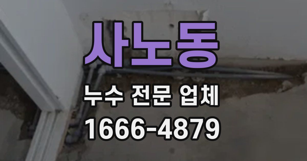 사노동 누수 전문 업체