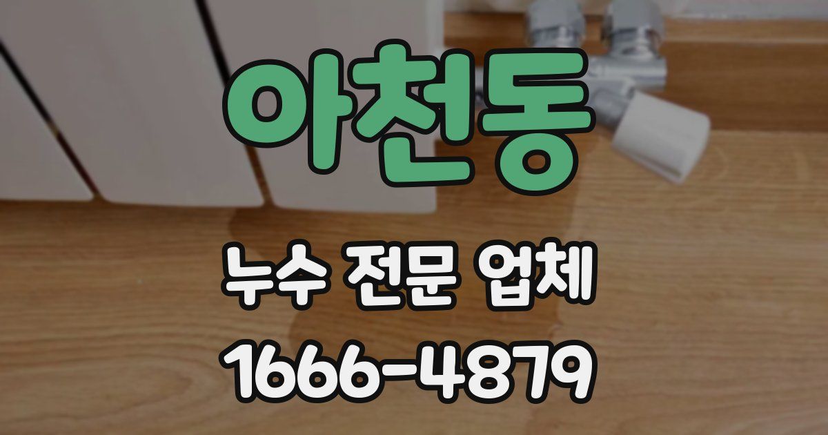 아천동 누수 전문 업체