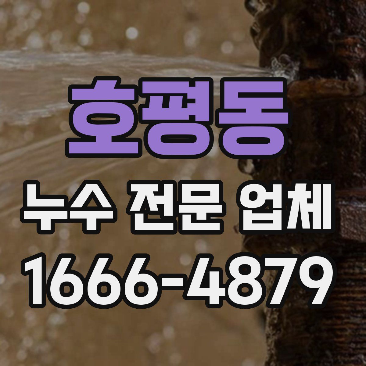 호평동 누수 전문 업체