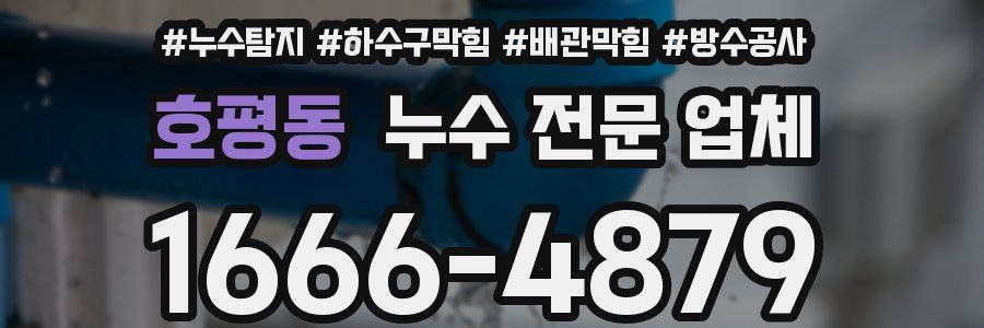 호평동 누수 전문 업체