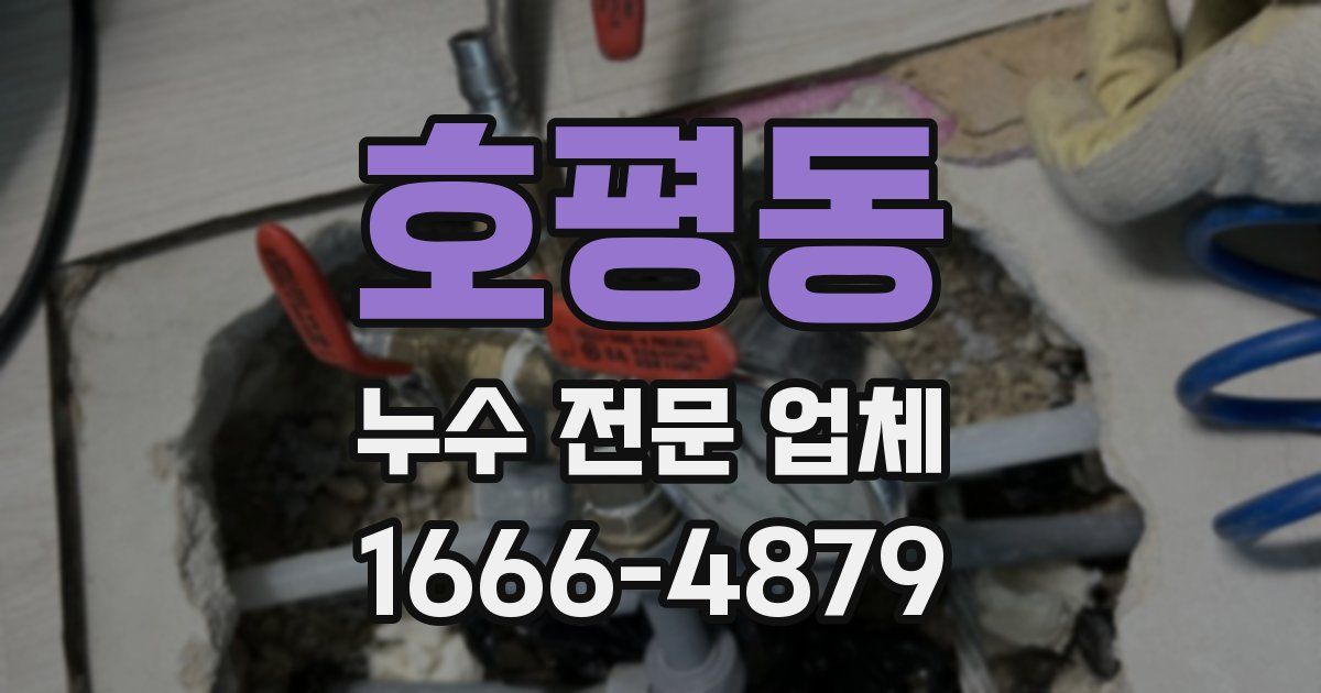 호평동 누수 전문 업체